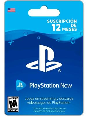 PLAYSTATION NOW 12 MESES USA